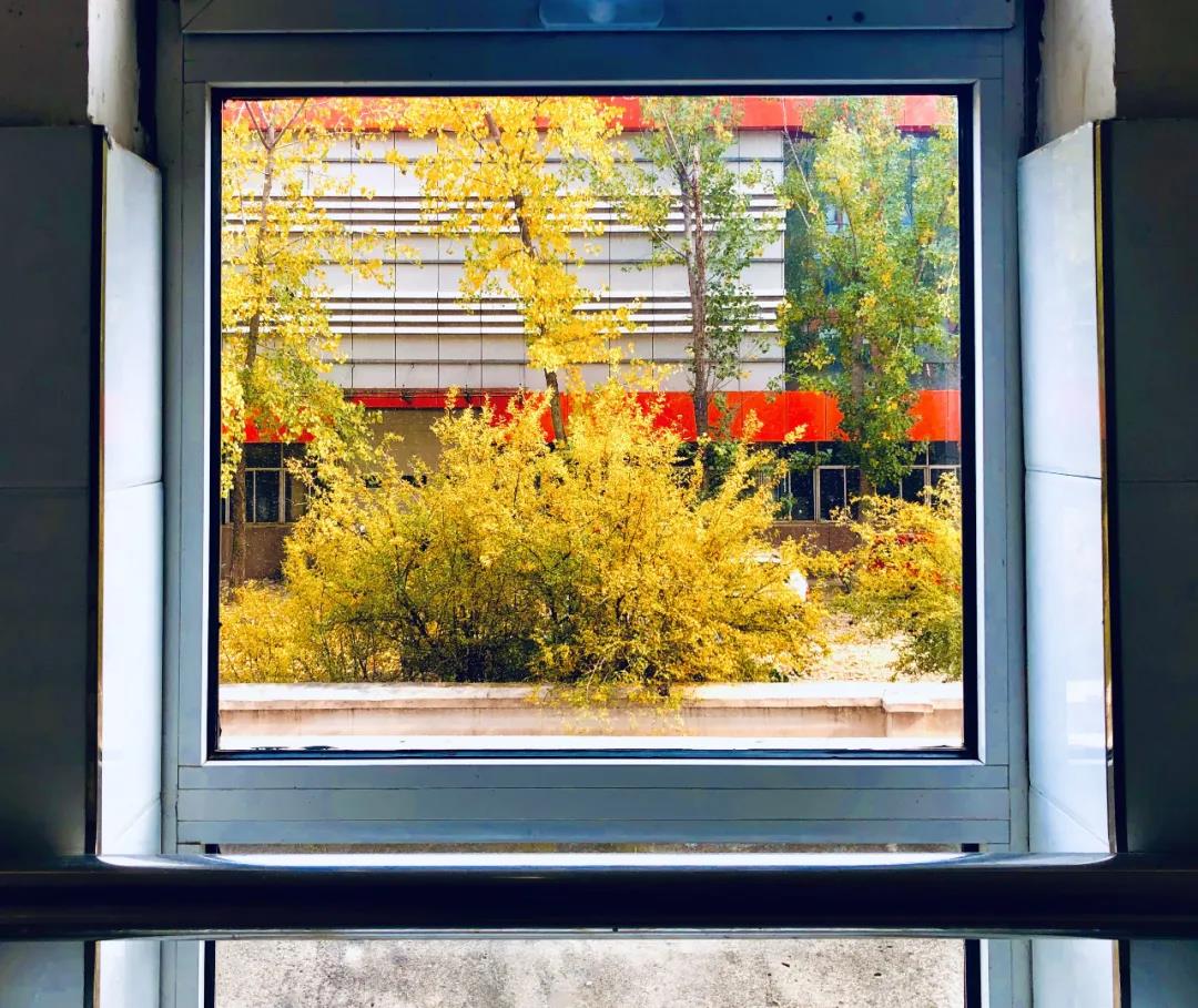 微信图片_20210304154320