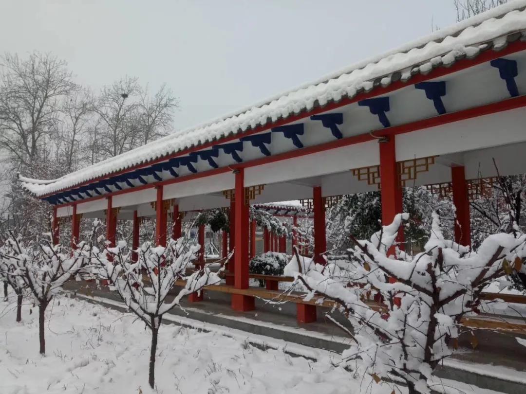 微信图片_20210304171918