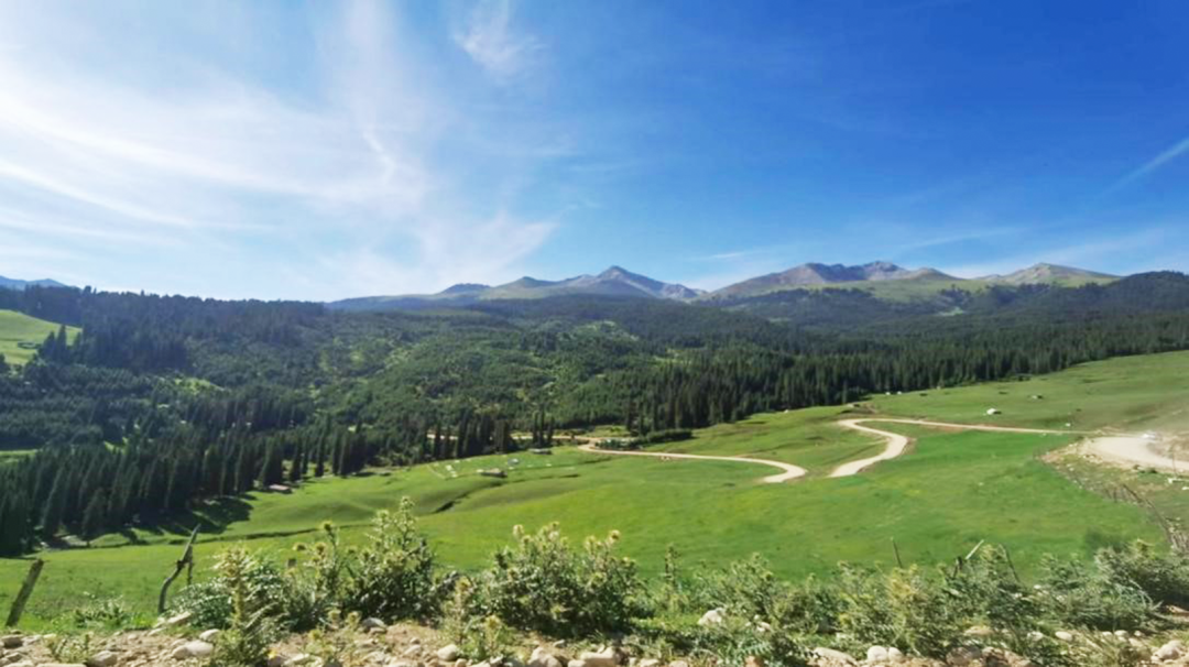 微信图片_20220713234644