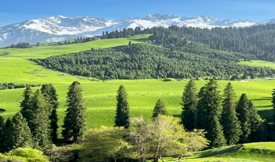 微信图片_20220713234730