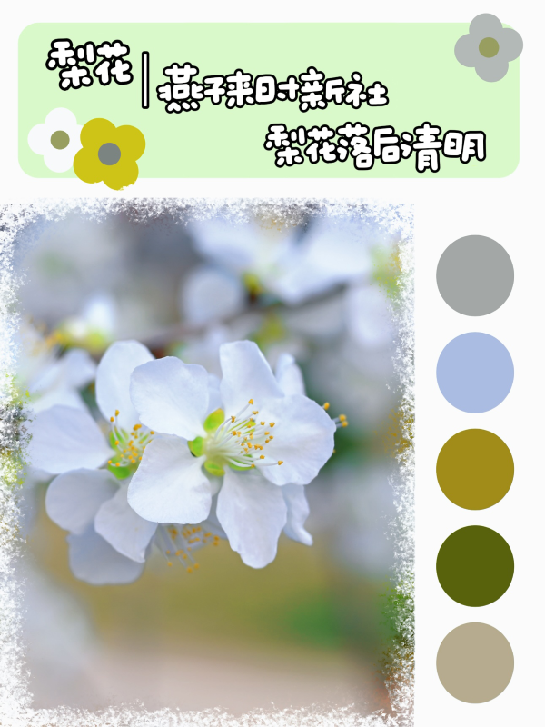 微信图片_20250417094025