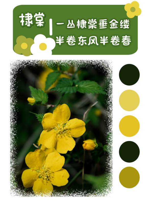 微信图片_20250417094337