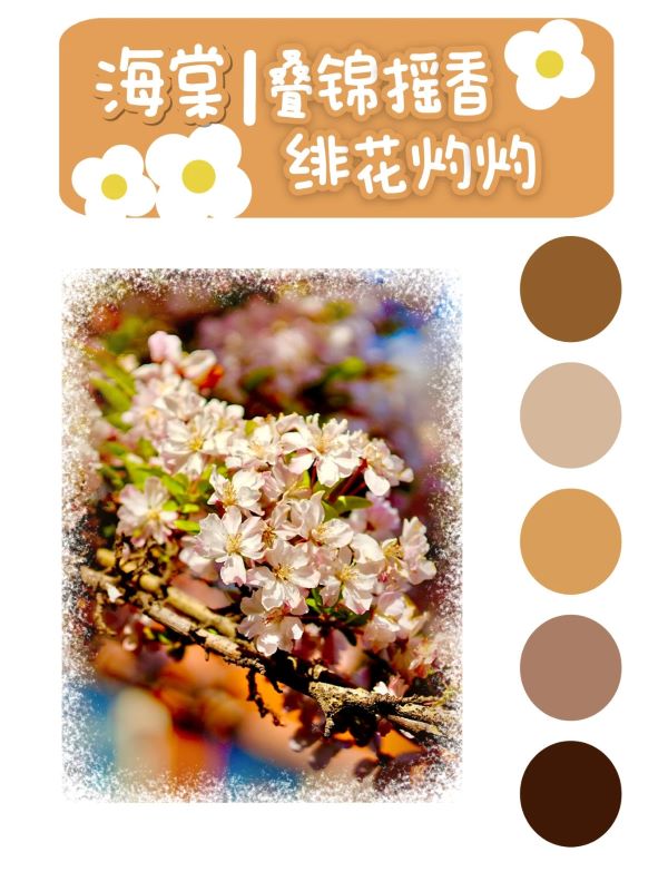 微信图片_20250417094623