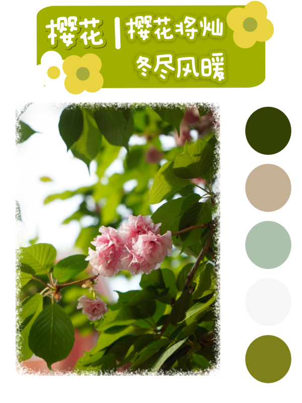 微信图片_20250417094808