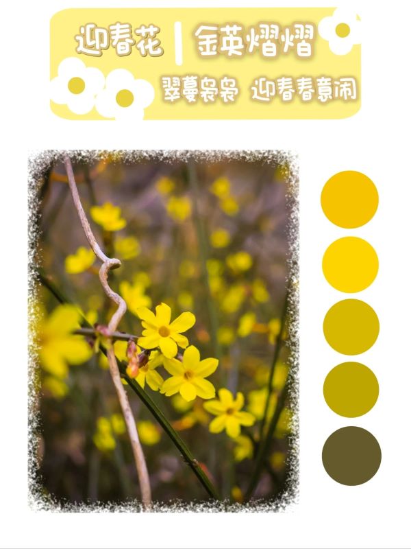 微信图片_20250417095010