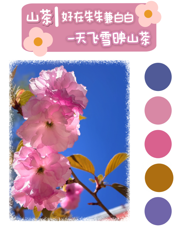 微信图片_20250417095446