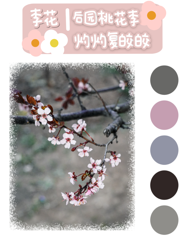 微信图片_20250417095744