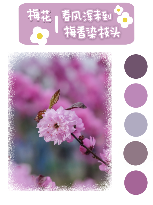 微信图片_20250417100236