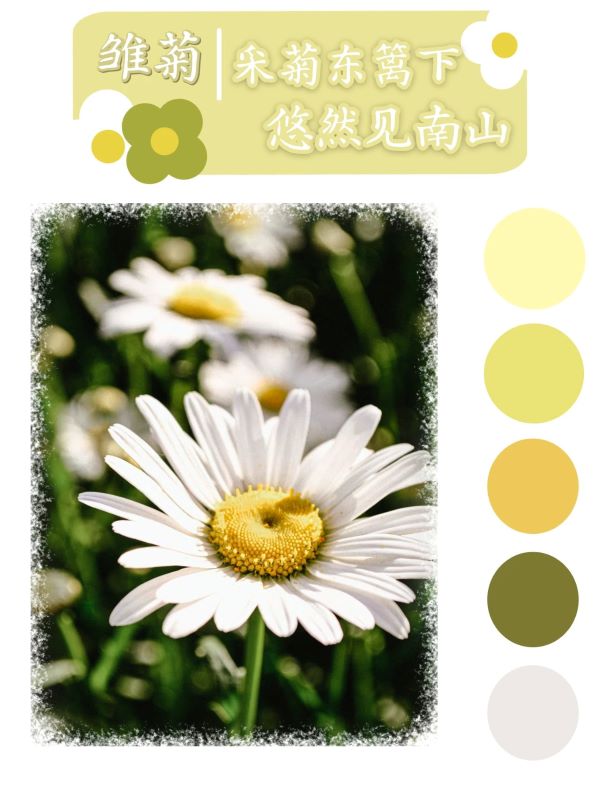 微信图片_20250417100252