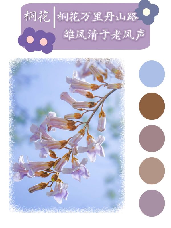 微信图片_20250417100539