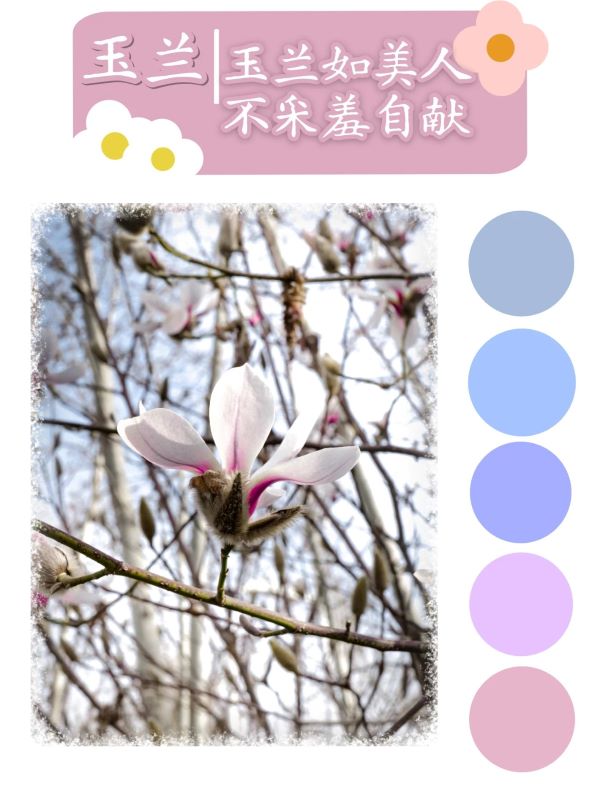 微信图片_20250417100551